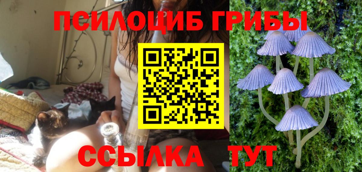 Псилоцибиновые грибы мицелий  Вход с VPN  Галлюциногенные грибы MAGIC MUSHROOMS  Елец 