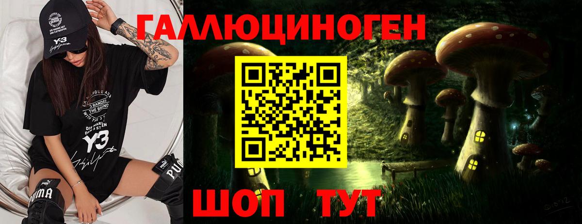 Псилоцибиновые грибы Psilocybine cubensis Елец